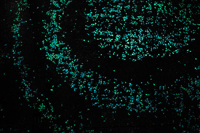 Van Gogh-Roosegaarde cycle path preview 8